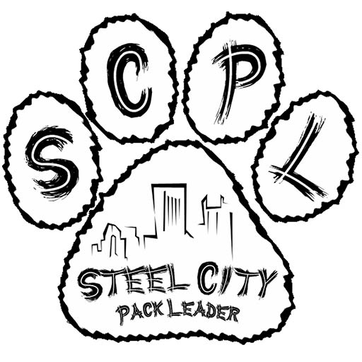 Steel City Pack Leader